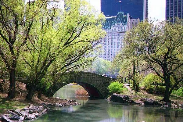 Getting New York City Film Permits to Shoot Your Movie in Central Park